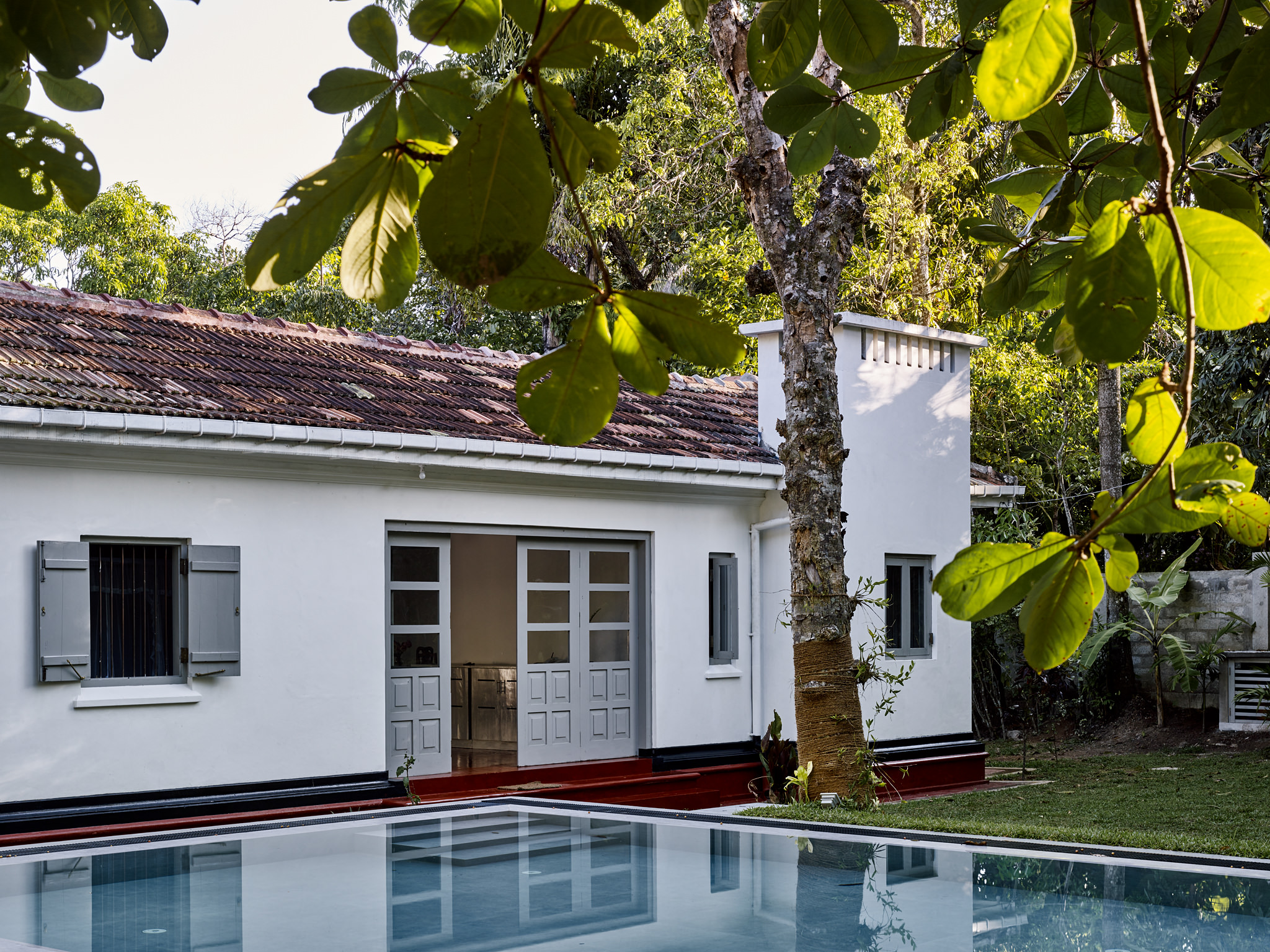 E15550 Alpa 049938 SCREEN